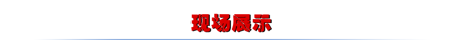 現場(chǎng)展示
